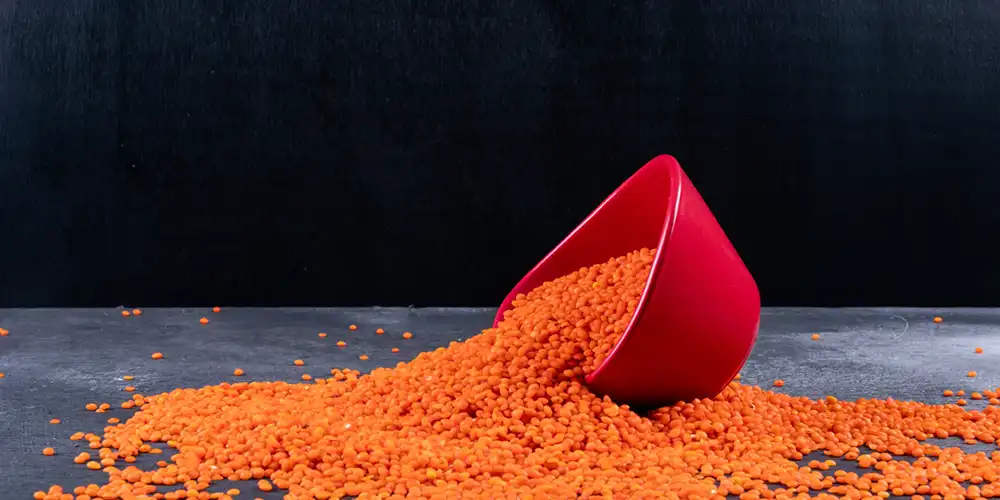 Red Lentils